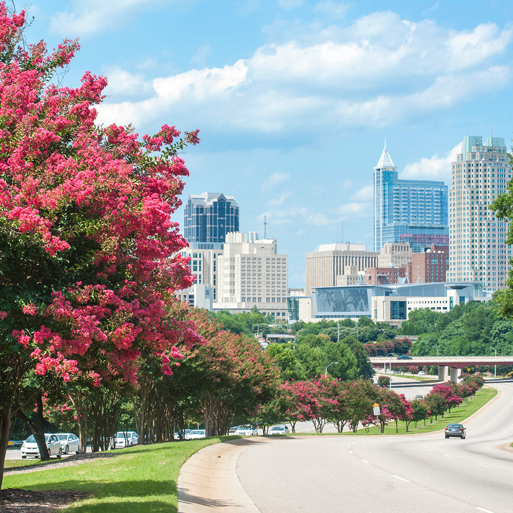 Dr. Aaron Tropmann Dr. Gary Oyster | Digital Impressions, Dental Bridges and Invisalign reg